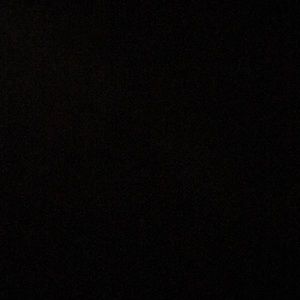 Meet your Posher, Lily